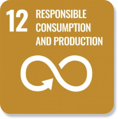SDGS NO.12